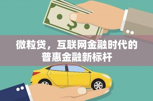 武鸣微粒贷，互联网金融时代的普惠金融新标杆
