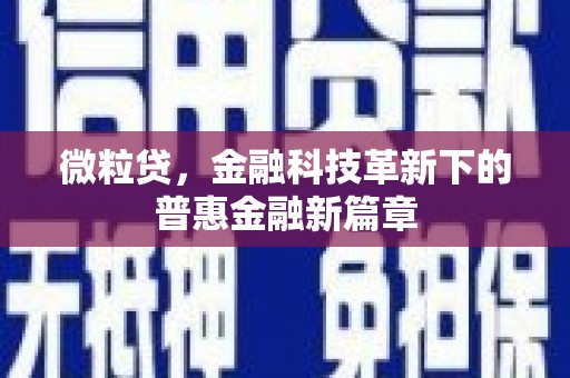 武鸣微粒贷，金融科技革新下的普惠金融新篇章
