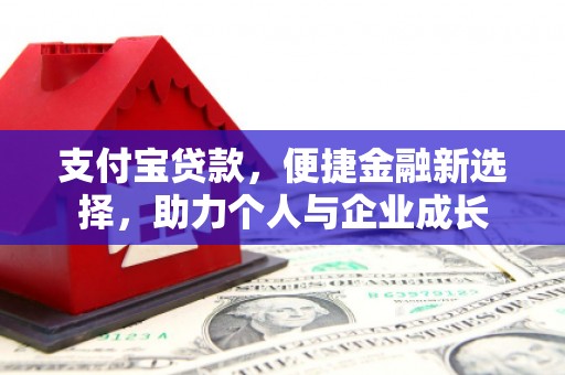 武鸣支付宝贷款，便捷金融新选择，助力个人与企业成长