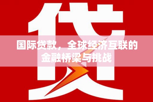 武鸣国际贷款，全球经济互联的金融桥梁与挑战