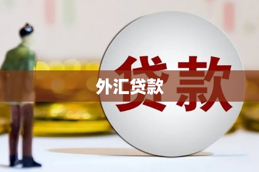 武鸣外汇贷款