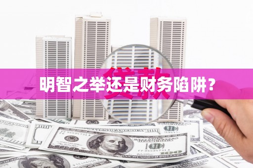 武鸣明智之举还是财务陷阱？