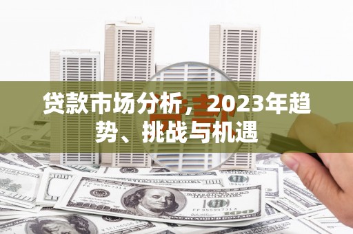 武鸣贷款市场分析，2023年趋势、挑战与机遇