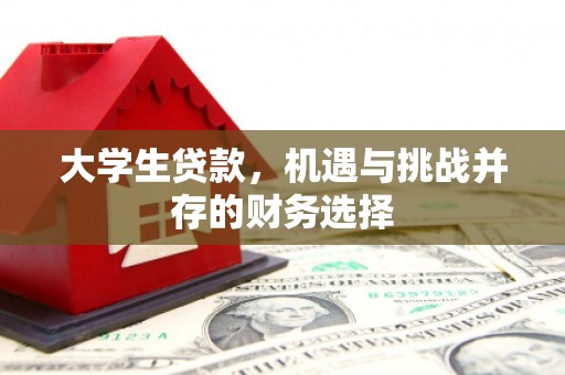 武鸣大学生贷款，机遇与挑战并存的财务选择