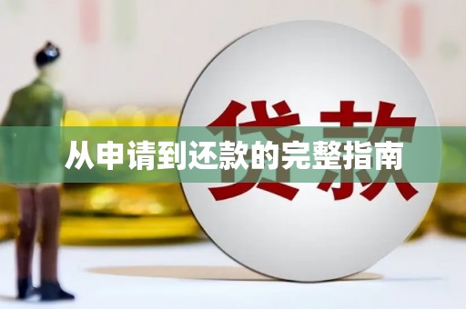 武鸣从申请到还款的完整指南