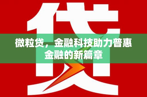 武鸣微粒贷，金融科技助力普惠金融的新篇章