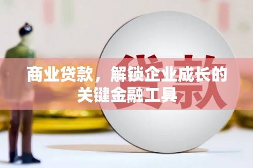 武鸣商业贷款，解锁企业成长的关键金融工具
