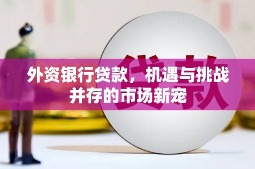 武鸣外资银行贷款，机遇与挑战并存的市场新宠