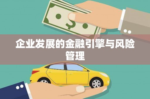 武鸣企业发展的金融引擎与风险管理