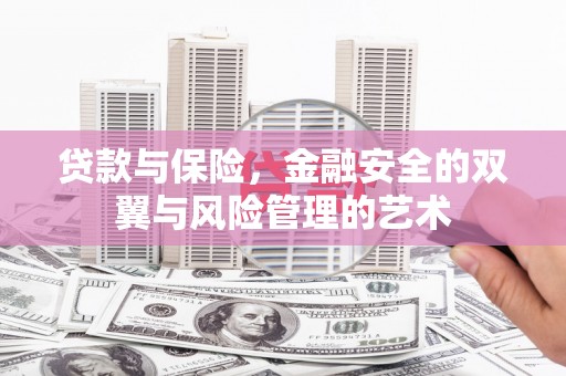 武鸣贷款与保险，金融安全的双翼与风险管理的艺术