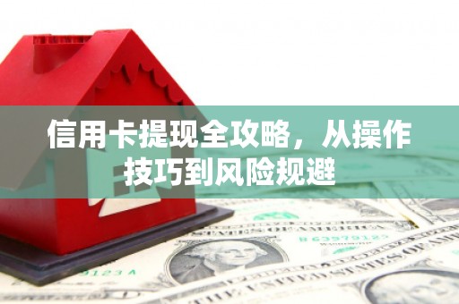 武鸣信用卡提现全攻略，从操作技巧到风险规避