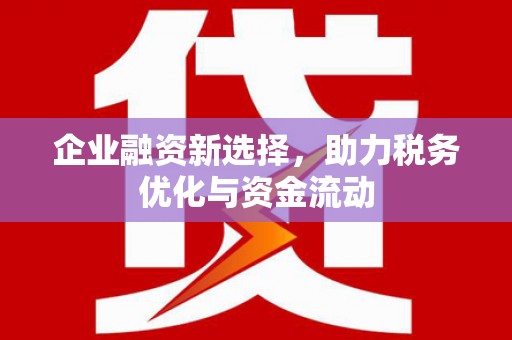武鸣企业融资新选择，助力税务优化与资金流动