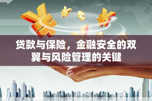 武鸣贷款与保险，金融安全的双翼与风险管理的关键