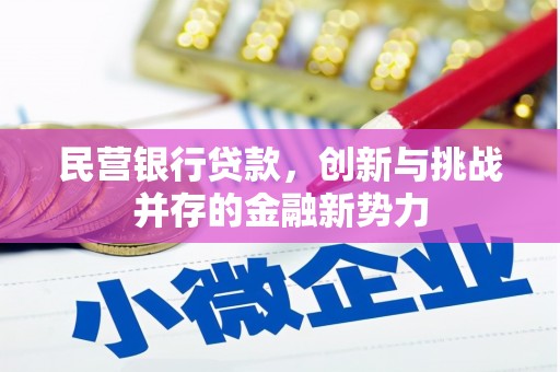 武鸣民营银行贷款，创新与挑战并存的金融新势力