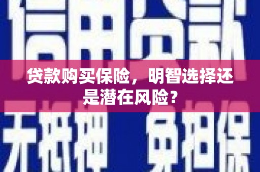 武鸣贷款购买保险，明智选择还是潜在风险？