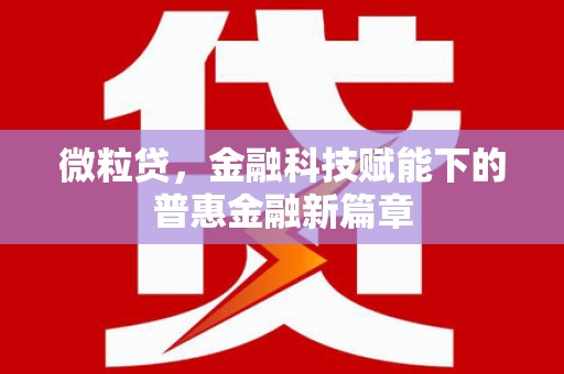 武鸣微粒贷，金融科技赋能下的普惠金融新篇章