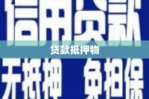 武鸣贷款抵押物