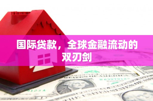 武鸣国际贷款，全球金融流动的双刃剑