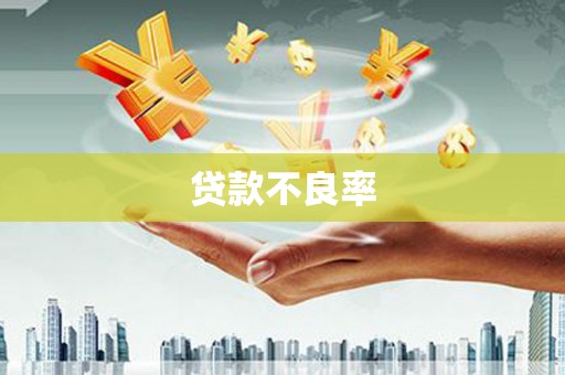 武鸣贷款不良率