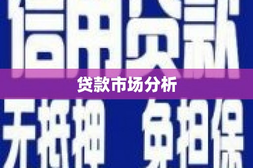 武鸣贷款市场分析