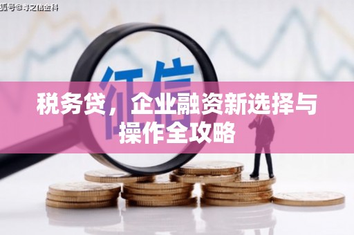 武鸣税务贷，企业融资新选择与操作全攻略