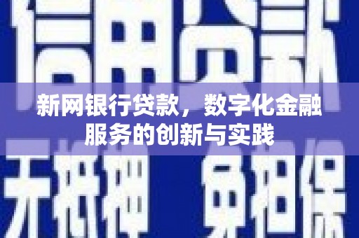 武鸣新网银行贷款，数字化金融服务的创新与实践