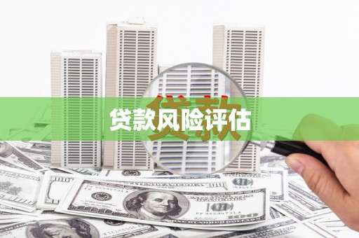 武鸣贷款风险评估