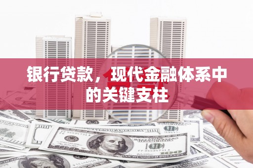 武鸣银行贷款，现代金融体系中的关键支柱