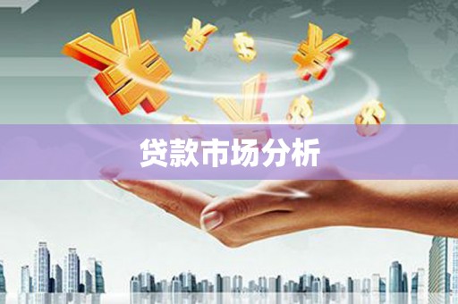 武鸣贷款市场分析