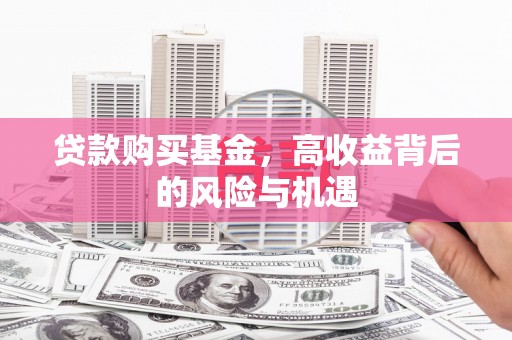 武鸣贷款购买基金，高收益背后的风险与机遇