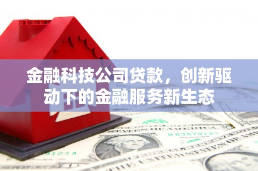 武鸣金融科技公司贷款，创新驱动下的金融服务新生态