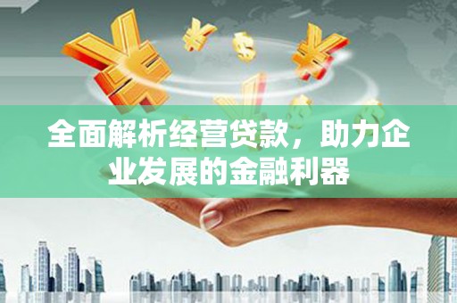 武鸣全面解析经营贷款，助力企业发展的金融利器