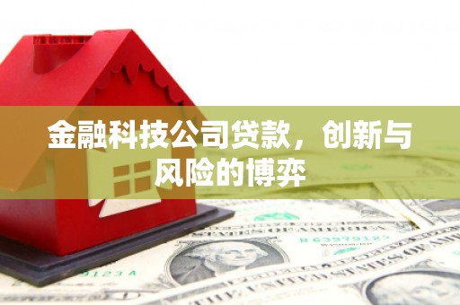 武鸣金融科技公司贷款，创新与风险的博弈