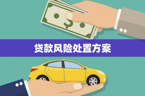 武鸣贷款风险处置方案