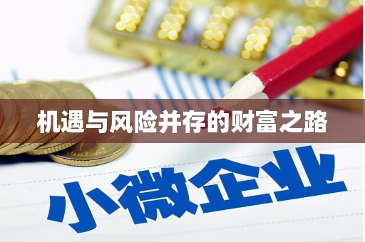 武鸣机遇与风险并存的财富之路