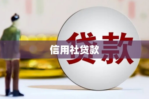 武鸣信用社贷款