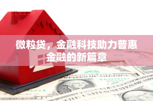 武鸣微粒贷，金融科技助力普惠金融的新篇章