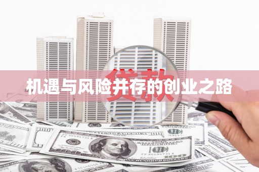 武鸣机遇与风险并存的创业之路