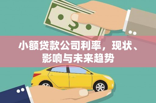 武鸣小额贷款公司利率，现状、影响与未来趋势
