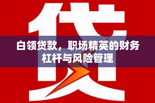武鸣白领贷款，职场精英的财务杠杆与风险管理