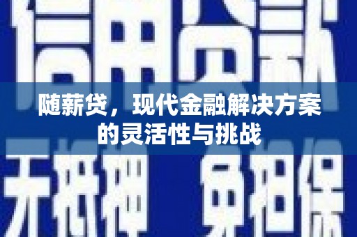 武鸣随薪贷，现代金融解决方案的灵活性与挑战