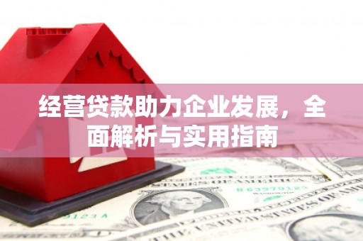 武鸣经营贷款助力企业发展，全面解析与实用指南
