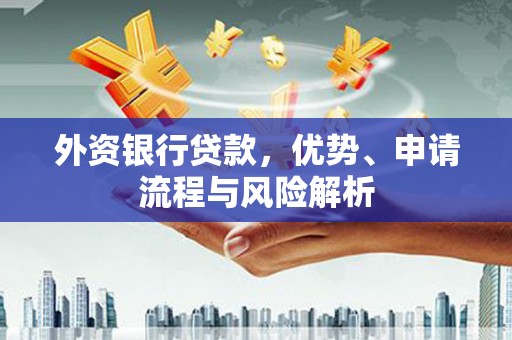 武鸣外资银行贷款，优势、申请流程与风险解析