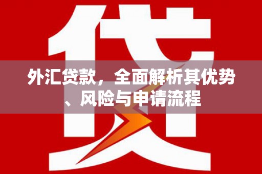 武鸣外汇贷款，全面解析其优势、风险与申请流程