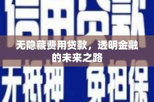 武鸣无隐藏费用贷款，透明金融的未来之路