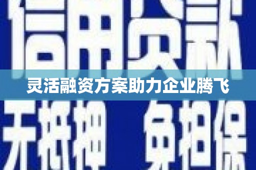 武鸣灵活融资方案助力企业腾飞