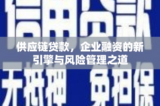 武鸣供应链贷款，企业融资的新引擎与风险管理之道