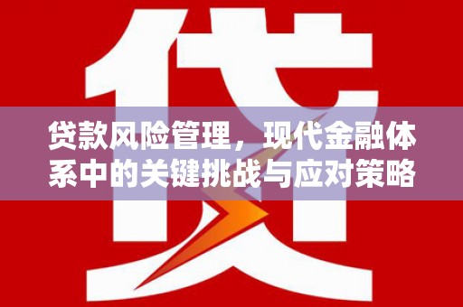 武鸣贷款风险管理，现代金融体系中的关键挑战与应对策略