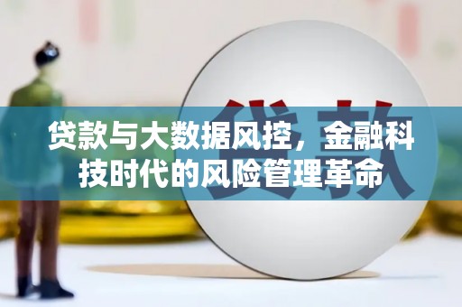 武鸣贷款与大数据风控，金融科技时代的风险管理革命