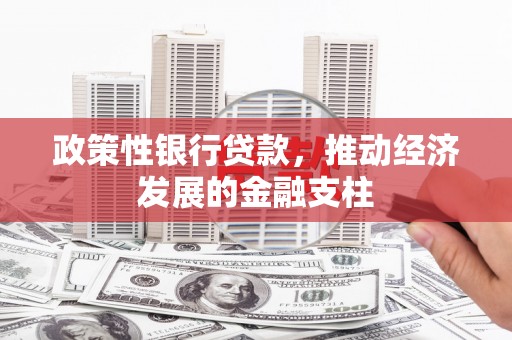 武鸣政策性银行贷款，推动经济发展的金融支柱